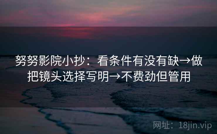 努努影院小抄：看条件有没有缺→做把镜头选择写明→不费劲但管用